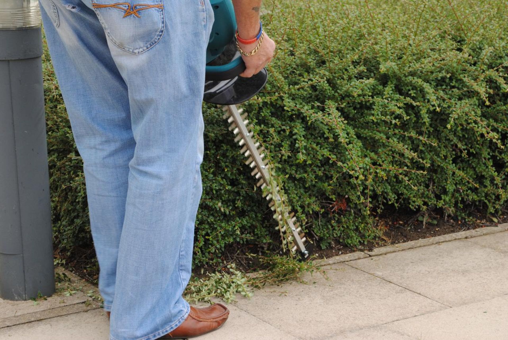 Akkubetriebener Heckenschneider beim Schneiden einer niedrigen Hecke entlang des Gehwegs